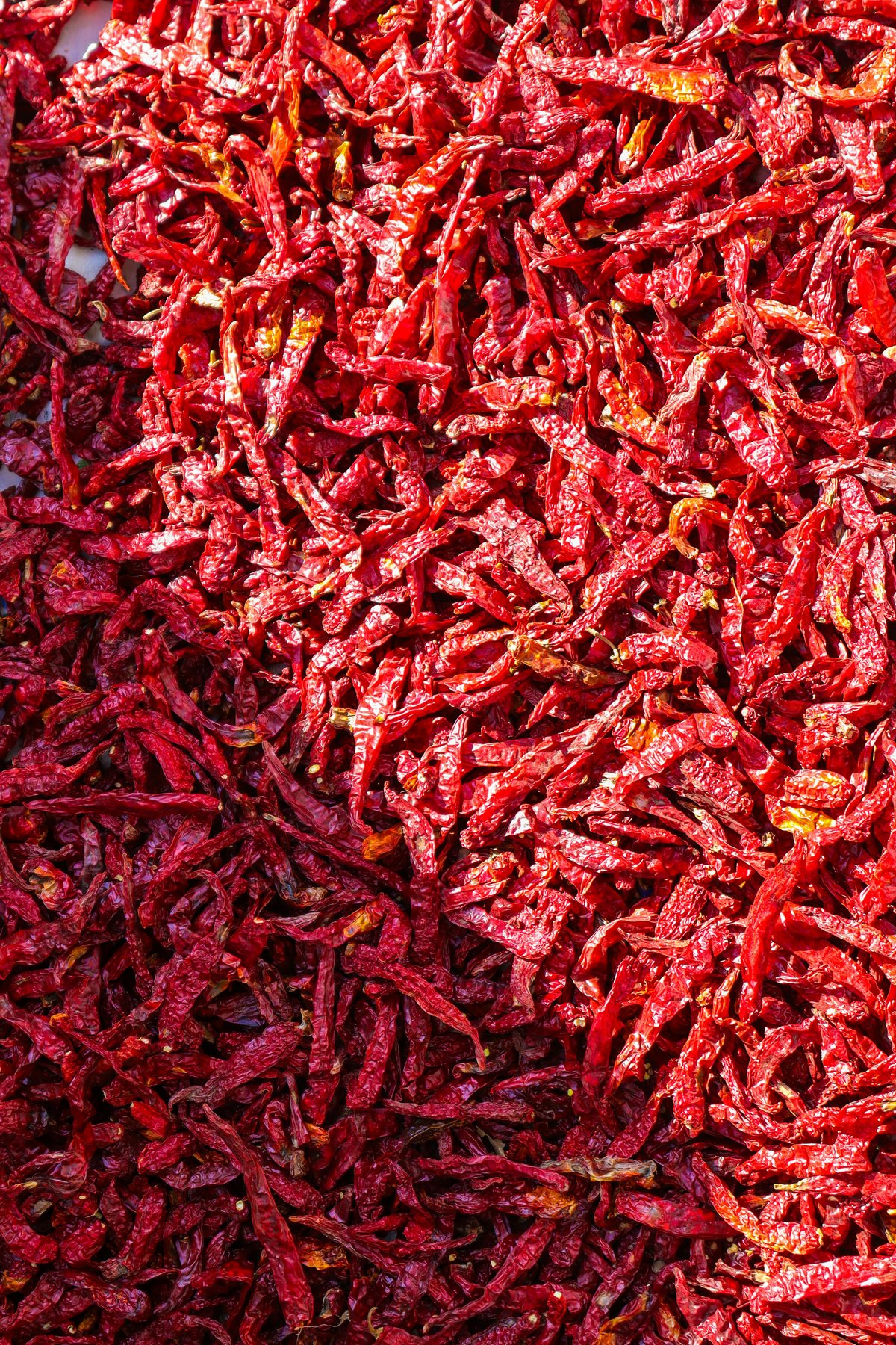 Byadgi Chilli Karnataka GI