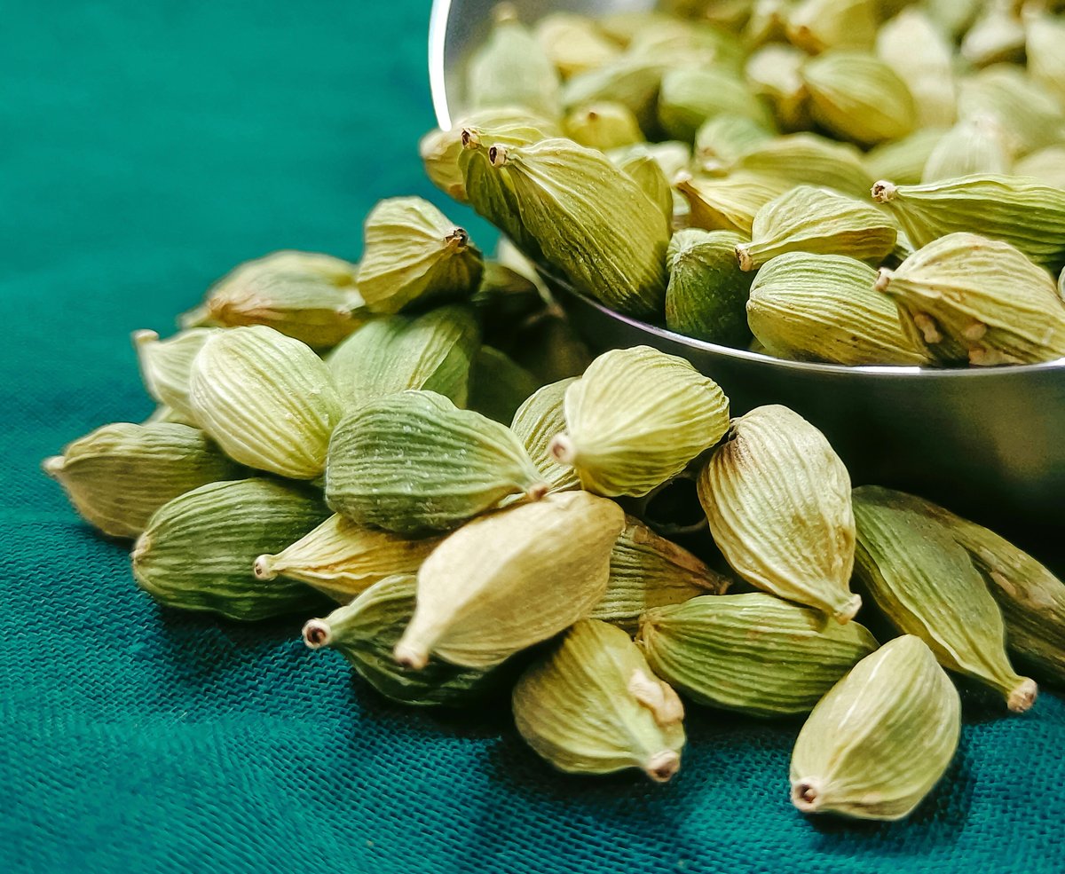 Alleppey Green Cardamom Kerala GI