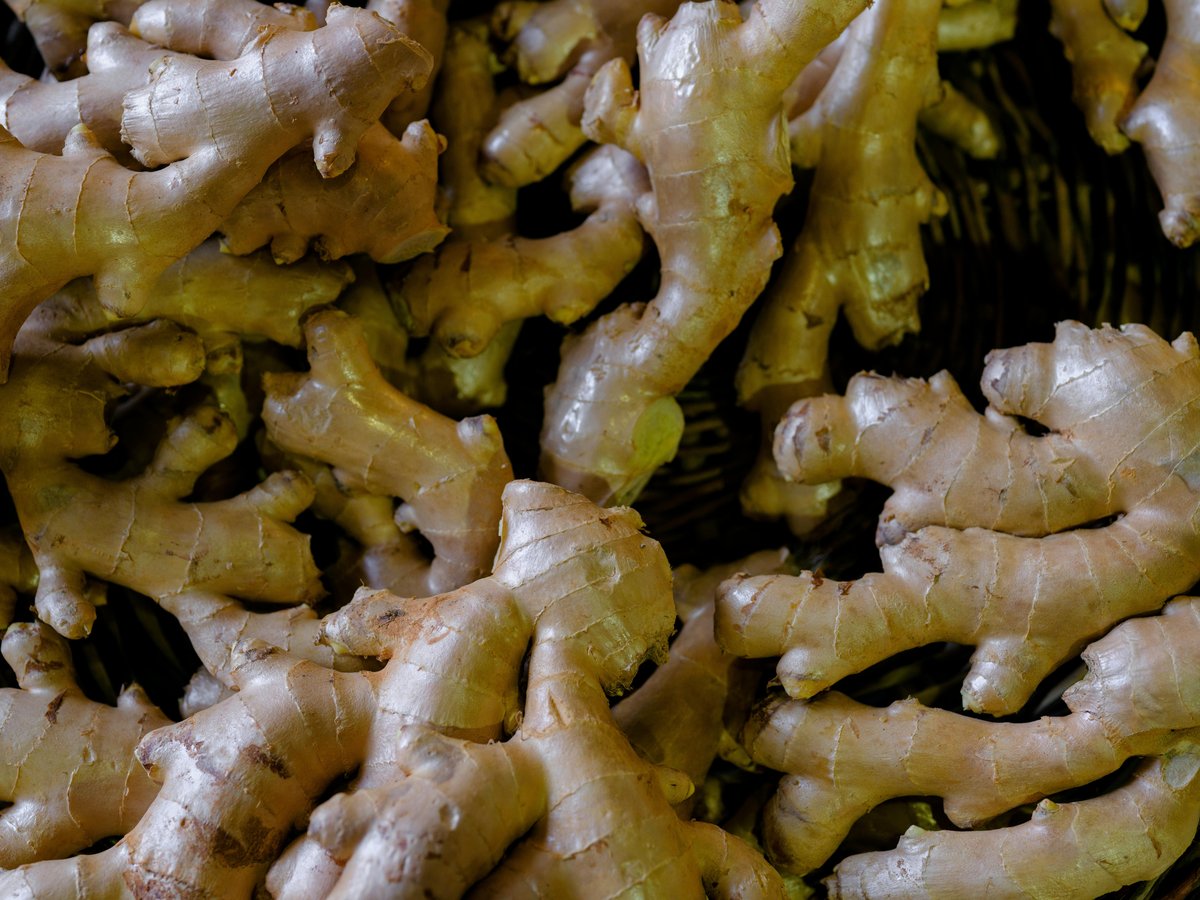 Karbi Anglong Ginger Assam GI