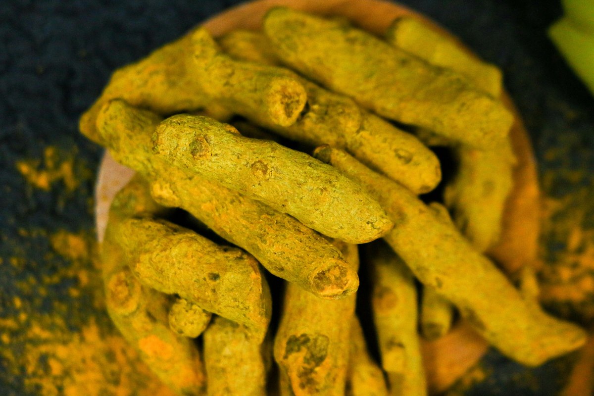 Lakadong Turmeric Meghalaya GI